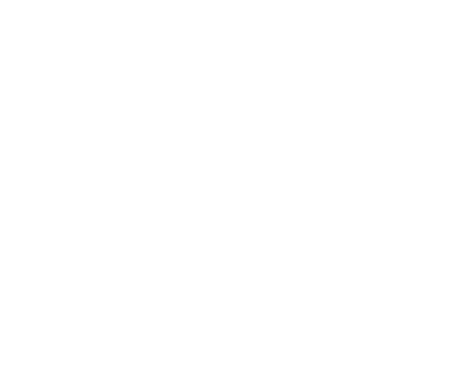 Saudi Logistics Alliance